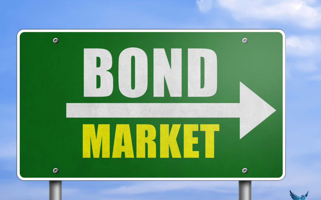 Did you know Halcyon can handle your Surety Bonding needs?