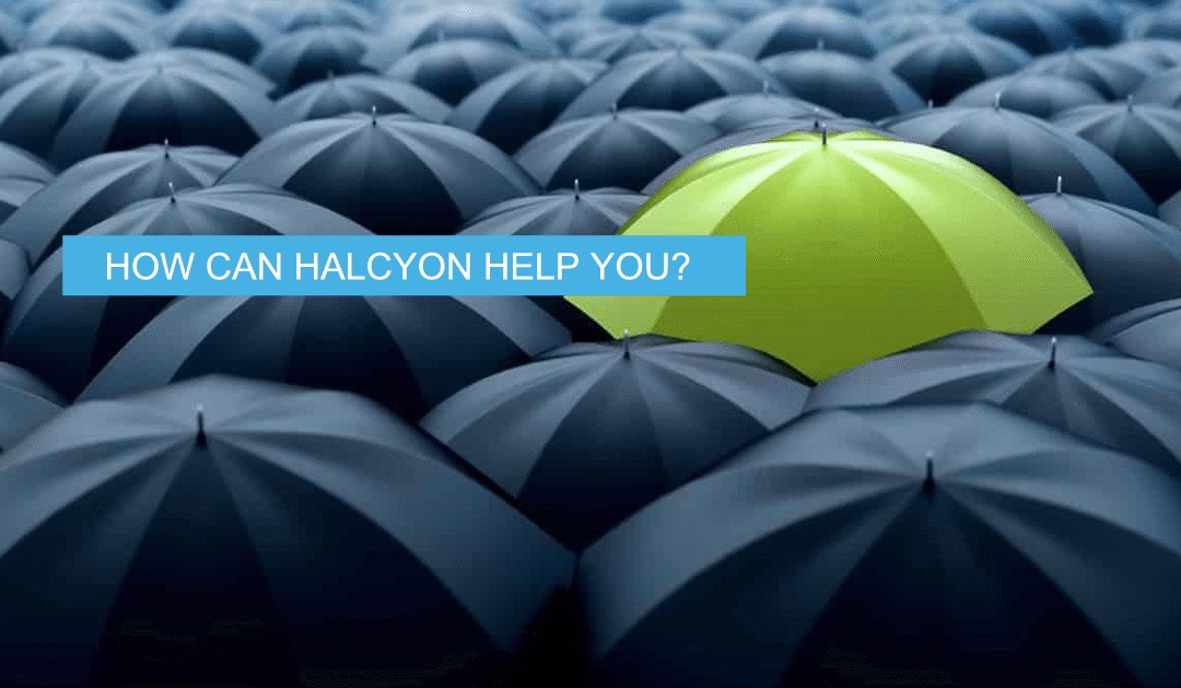 How Can Halcyon Help You?